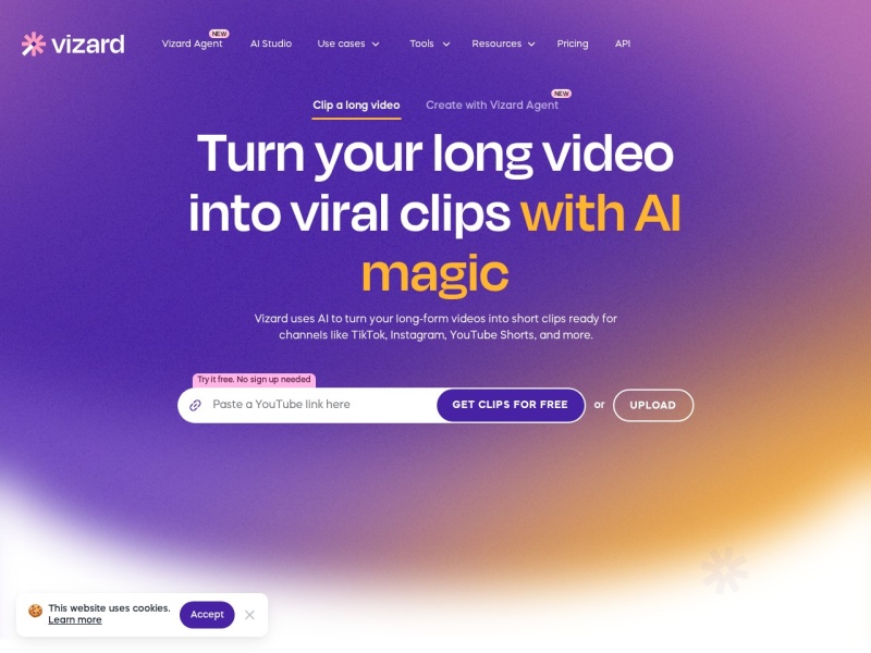 Vizard