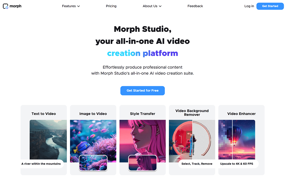 Morph Studio